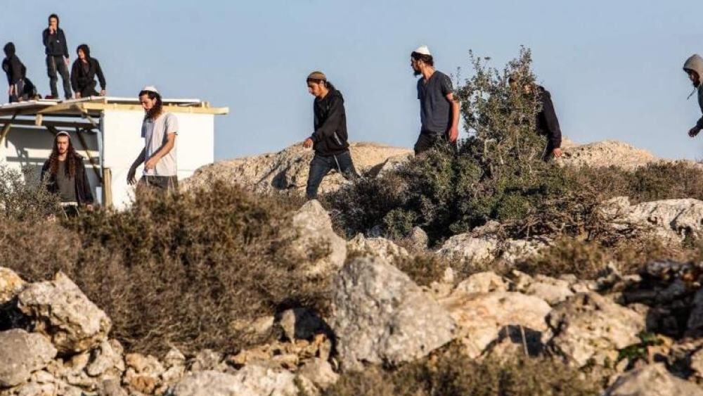 مستوطنون يرعون أغنامهم في أراضي يانون جنوب نابلس ويتلفون أشجار زيتون