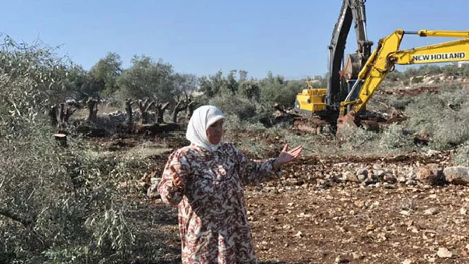 الاحتلال يشرع بتجريف أراضٍ ويقتلع أشجار زيتون في قرية برقة