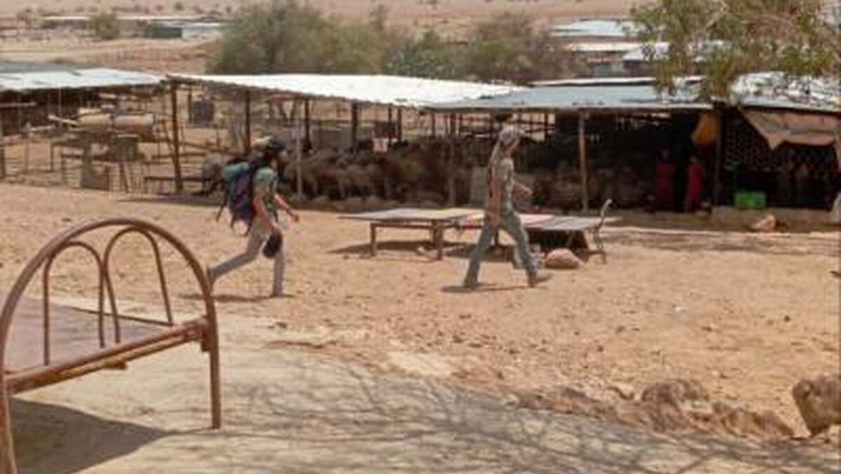 مستوطن يستولي على منزل في تجمع شلال العوجا شمال أريحا