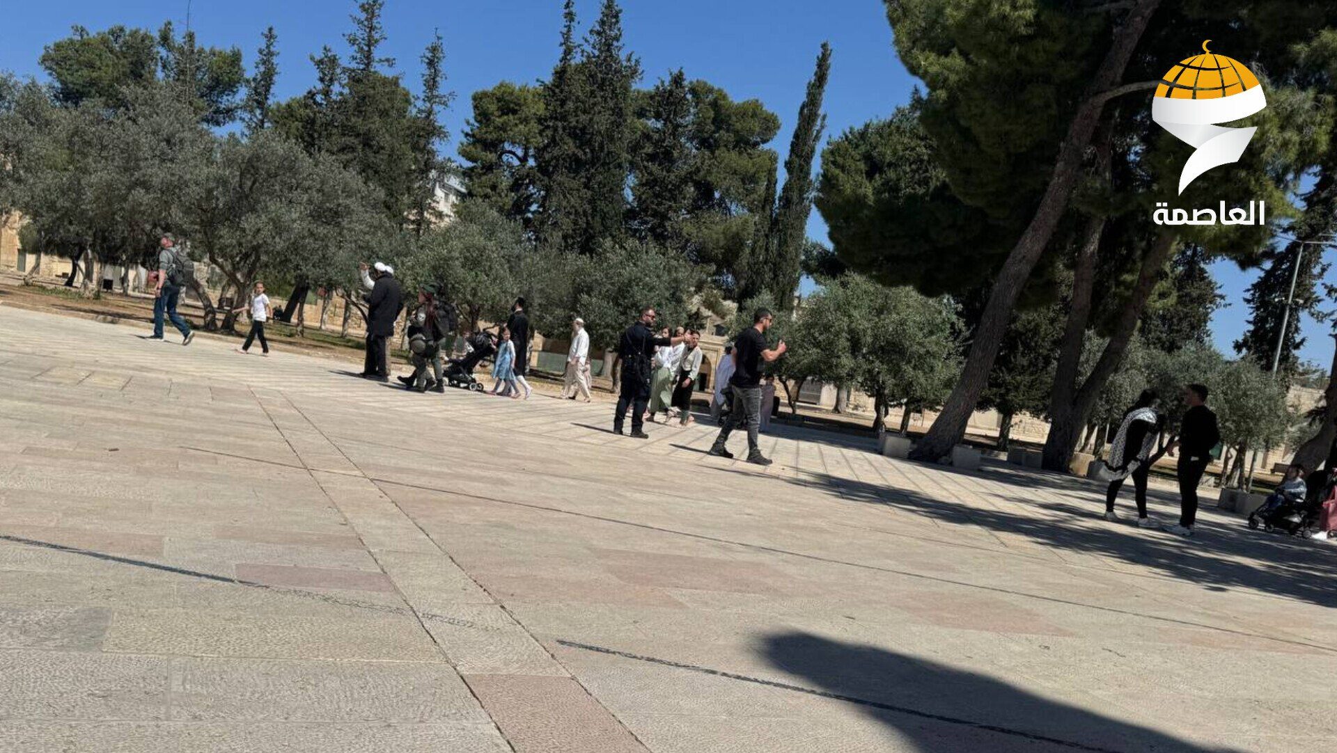 مستوطنون يقتحمون المسجد الأقصى المبارك بحماية شرطة الاحتلال