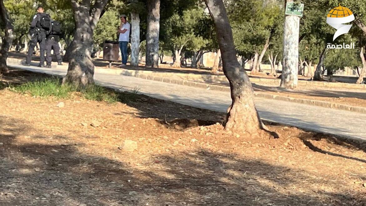 مستوطنون يقتحمون المسجد الأقصى المبارك