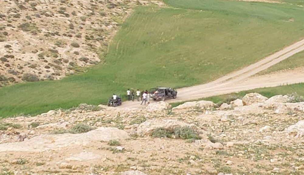 مستوطنون يسرقون 20 ناقة بمسافر يطا جنوب الخليل