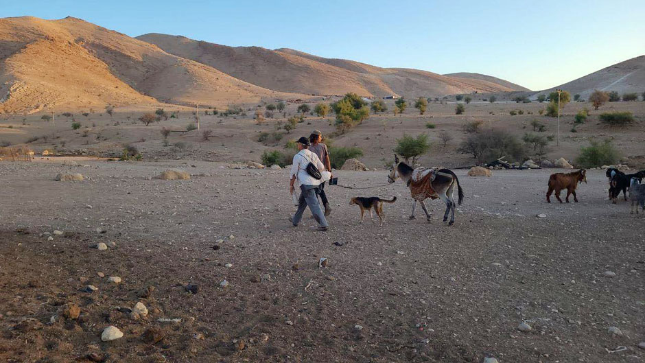 مستوطنون يقتحمون شلال العوجا شمال أريحا برفقة أغنامهم
