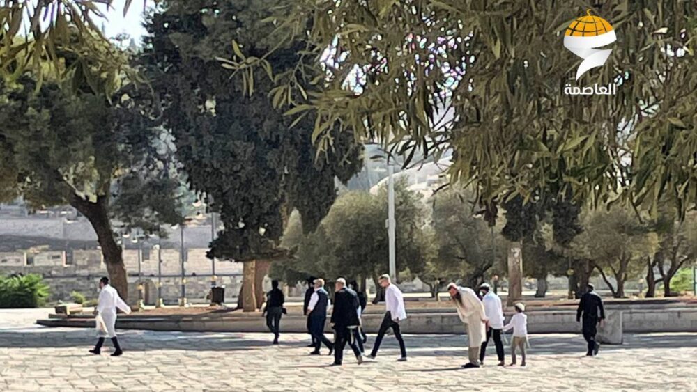 مستوطنون يقتحمون المسجد الأقصى في أول أيام ما يُسمى بـ"عيد رأس السنة العبرية"