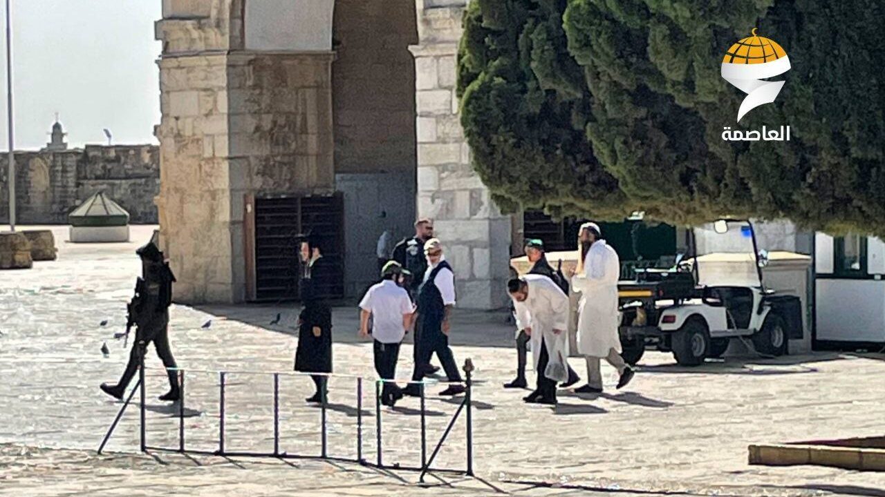 مستوطنون يقتحمون المسجد الأقصى و"جماعات الهيكل" تدعو إلى اقتحامات واسعة الإثنين المقبل