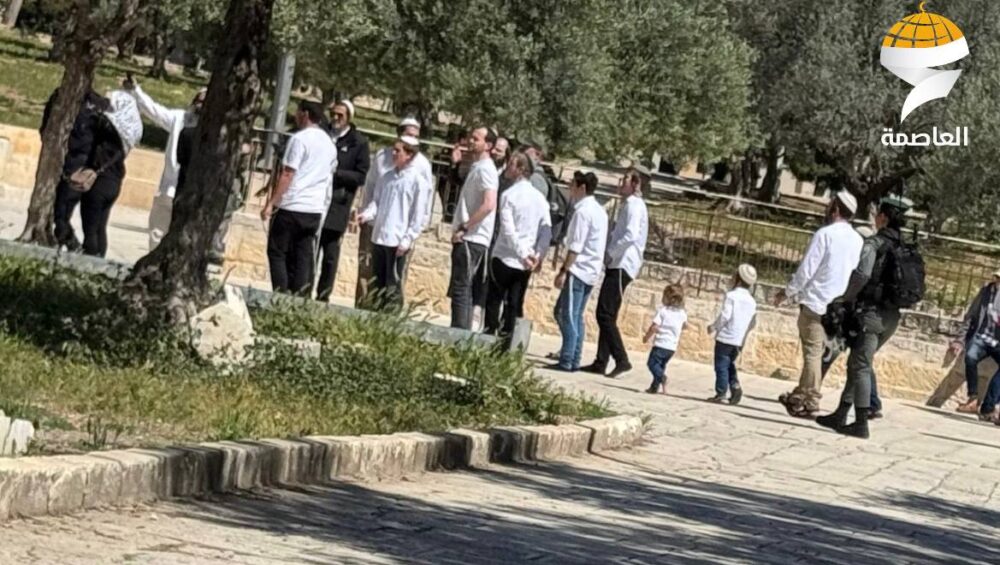 مستوطنون يؤدون صلوات تلمودية في باحات الأقصى المبارك