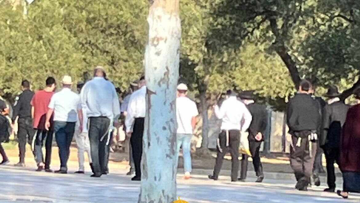 مستوطنون يقتحمون المسجد الأقصى المبارك