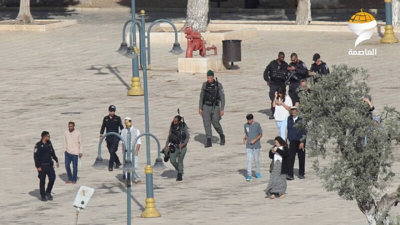 مستوطنون يقتحمون المسجد الأقصى المبارك