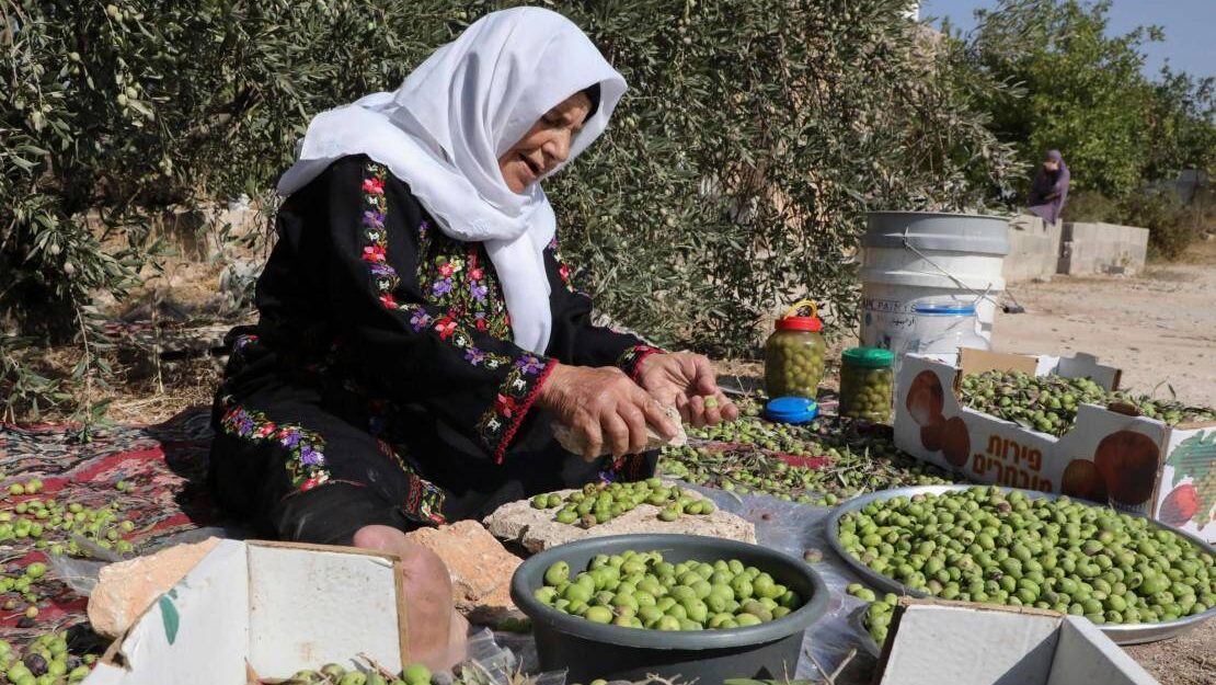 سنة "شلتونية" في فلسطين: الأسوأ منذ 16 عاما