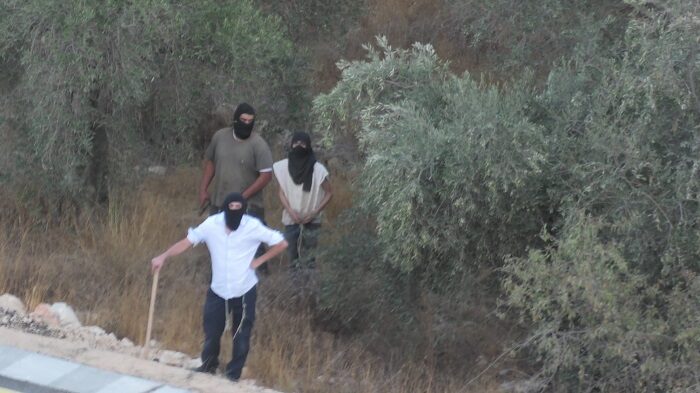 إصابة مواطناً بجراح جراء اعتداء المستوطنين على قاطفي الزيتون جنوب نابلس