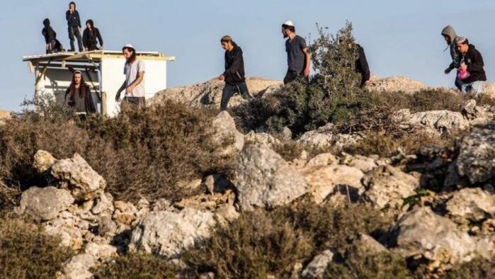 مستوطنون يرعون مواشيهم في تجمع شلال العوجا شمال أريحا