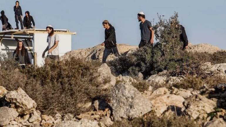 مستوطنون يرعون أبقارهم ومواشيهم في المغير شمال شرق رام الله