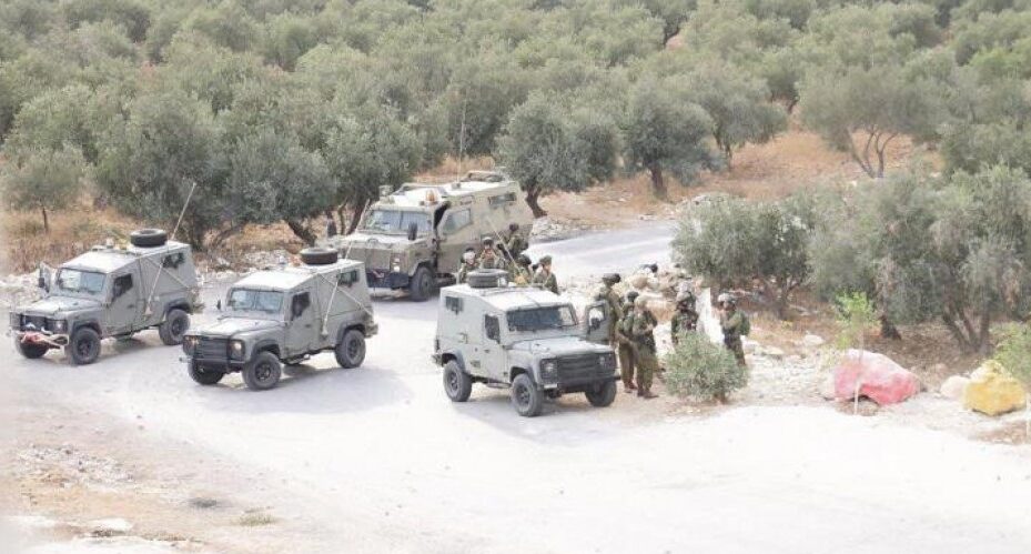 طوباس: مستوطنون بحماية الاحتلال يقتحمون مدرسة التحدي ويطالبون طواقمها بالرحيل