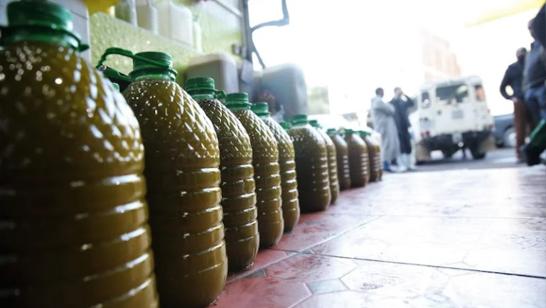 "الاقتصاد" تضبط زيت زيتون مغشوشًا في محافظتي نابلس والخليل