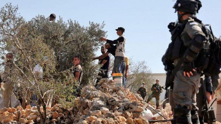 مستوطنون يهاجمون المزارعين ويمنعوهم من قطف ثمار الزيتون شرق نابلس