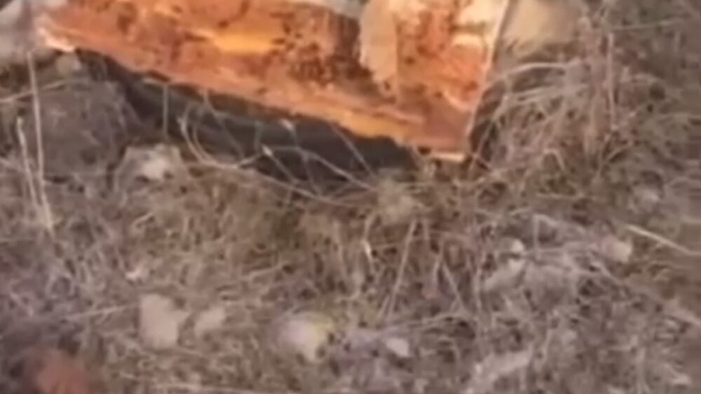 مستوطنون يسرقون خلايا نحل في أم صفا شمال رام الله