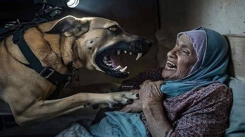 وحشية ٌ بلا حدود