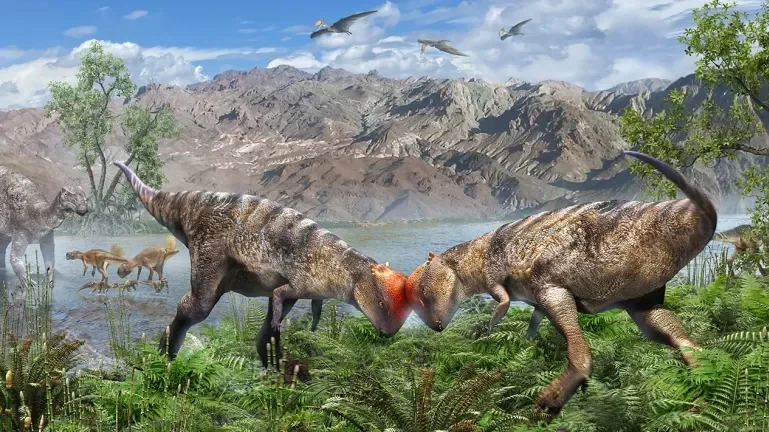 في منغوليا.. اكتشاف أقدم ديناصور برأس قببي في العالم