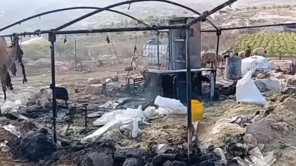 مستوطنون يحرقون مسكناً ويتلفون أعلافاً في مسافر يطا جنوب الخليل