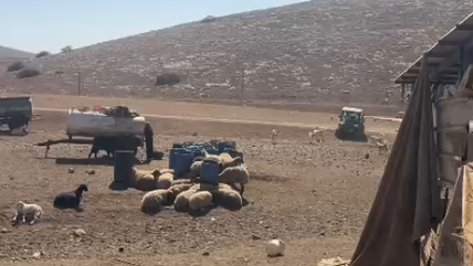 مستوطنون يقتحمون خربتي سمرة ومكحول في الأغوار الشمالية