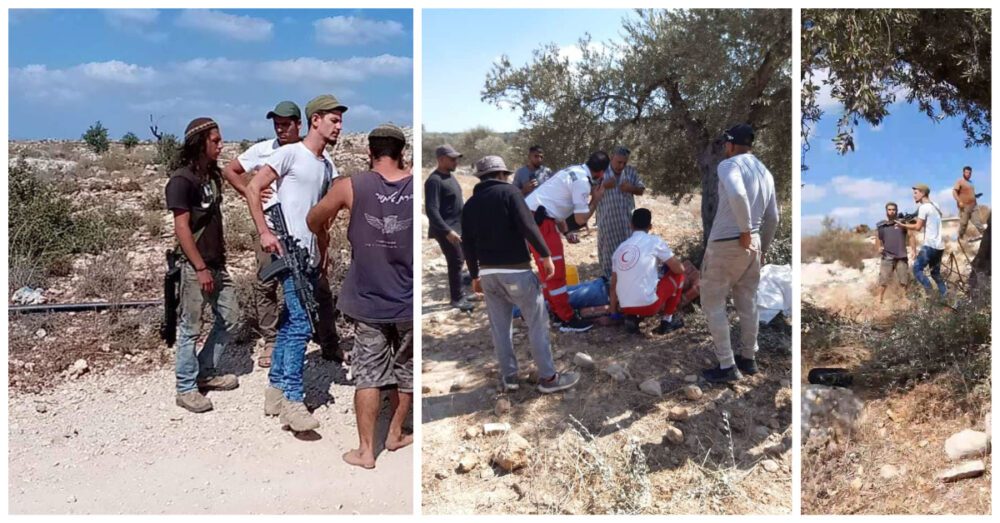 مستوطنون يطلقون الرصاص على قاطفي الزيتون في حوارة جنوب نابلس