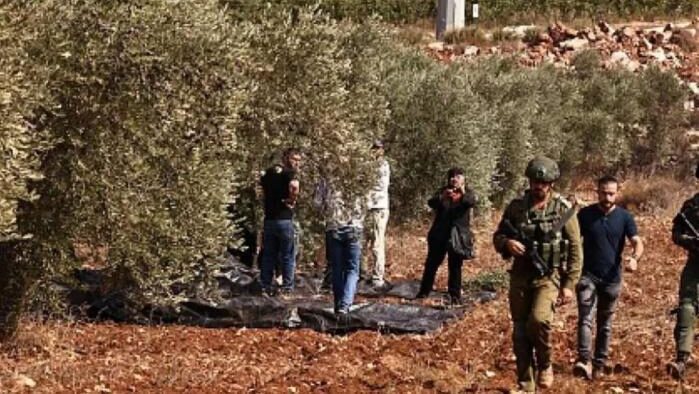 340 اعتداء نفذها الاحتلال والمستوطنون ضد قاطفي الزيتون منذ بداية الموسم