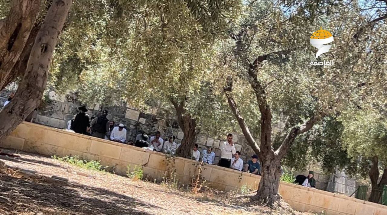 193 مستوطنًا اقتحموا المسجد الأقصى المبارك