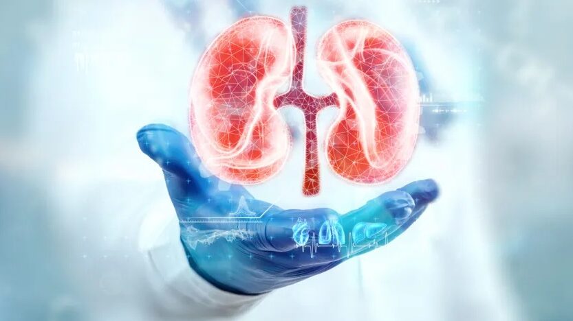 أمراض الكلى المزمنة أصبحت أزمة صحية عالمية وفقا لدراسة حديثة