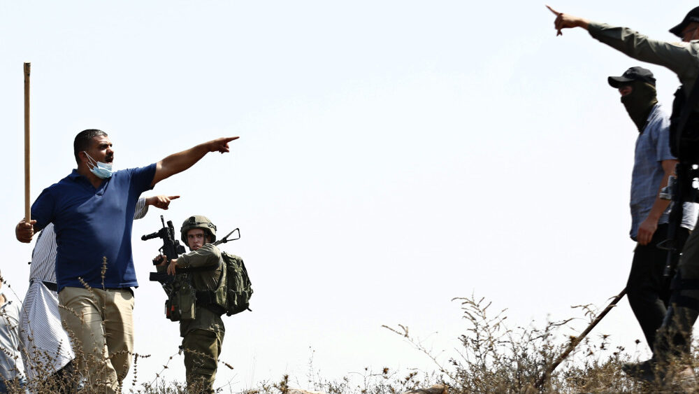 مستوطنون يقطعون عشرات أشتال العنب في دوما جنوب نابلس