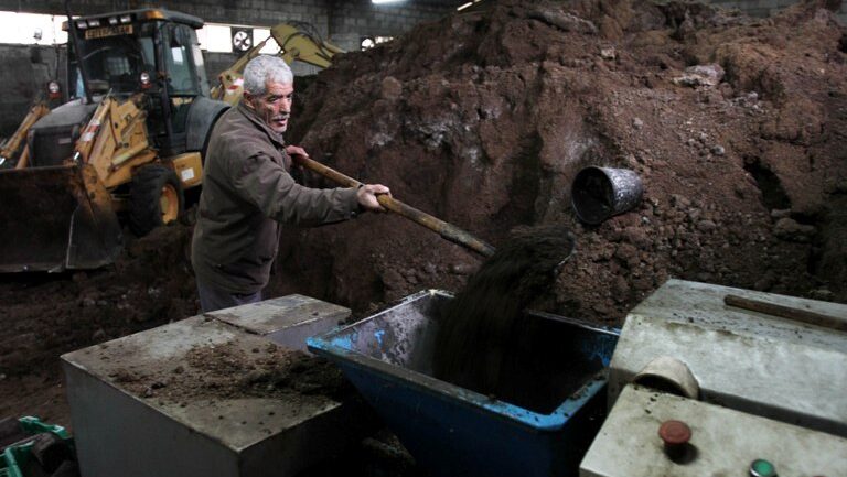 65 شيكل سعر طن "جفت" الزيتون.. إليكم كميات الإنتاج هذا الموسم