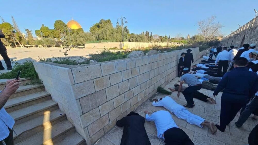 مستوطنون يقتحمون الأقصى في خامس أيام "الأنوار العبري" ويؤدون السجود الملحمي