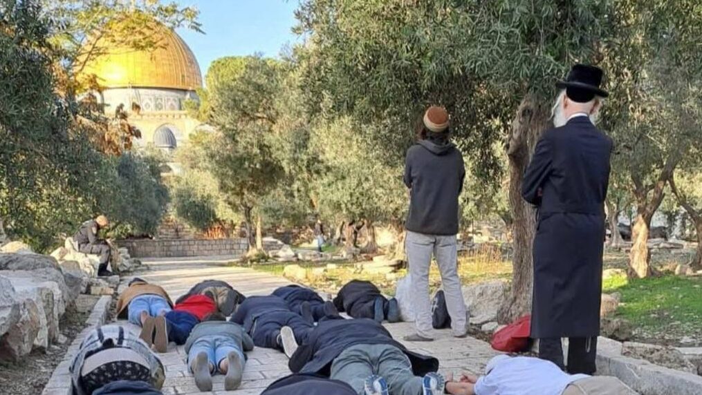 مستوطنون يقتحمون المسجد الأقصى في ثامن أيام ما يعرف بعيد "الأنوار اليهودي"