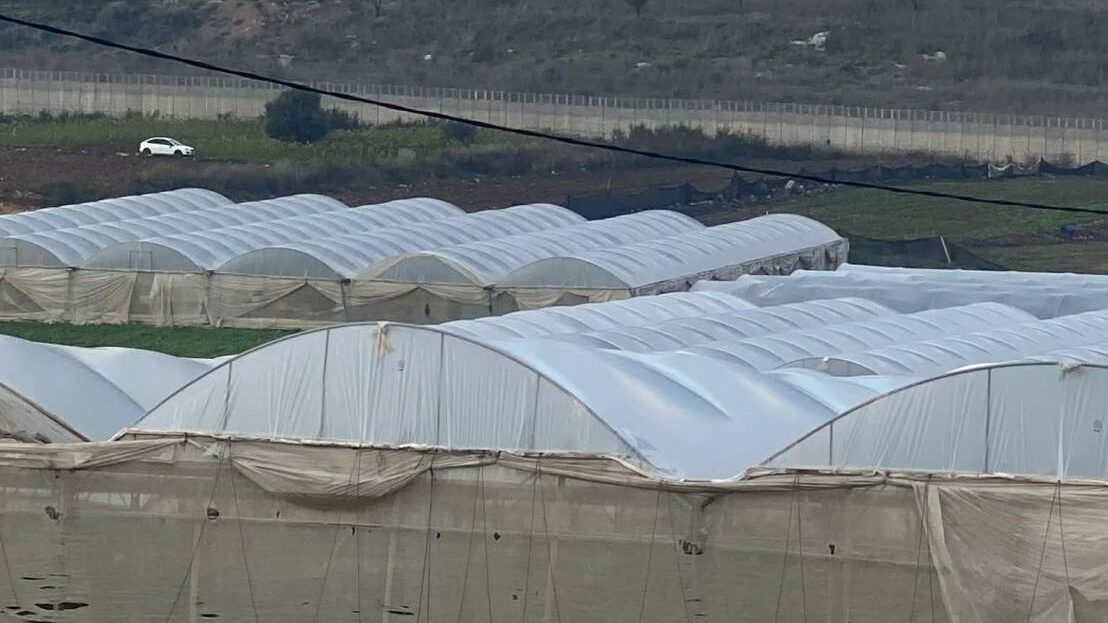 سهل زيتا تحت عين الاستيطان.. 165 دونما من البيوت البلاستيكية مهددة بالإزالة