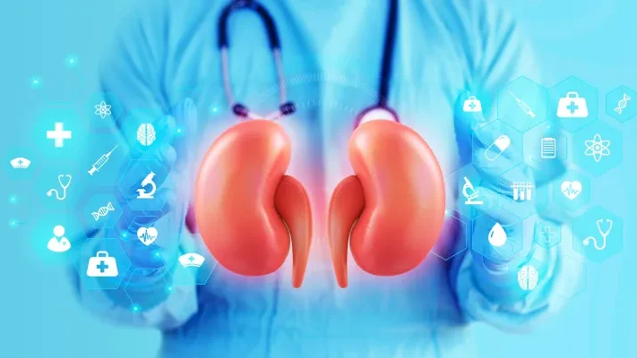 كيف نحمي الكلى؟