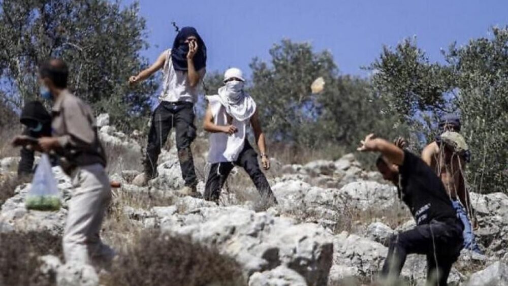 مستوطنون يصيبون طفلاً بالرصاص ويدمرون محاصيل زراعية في كيسان شرق بيت لحم