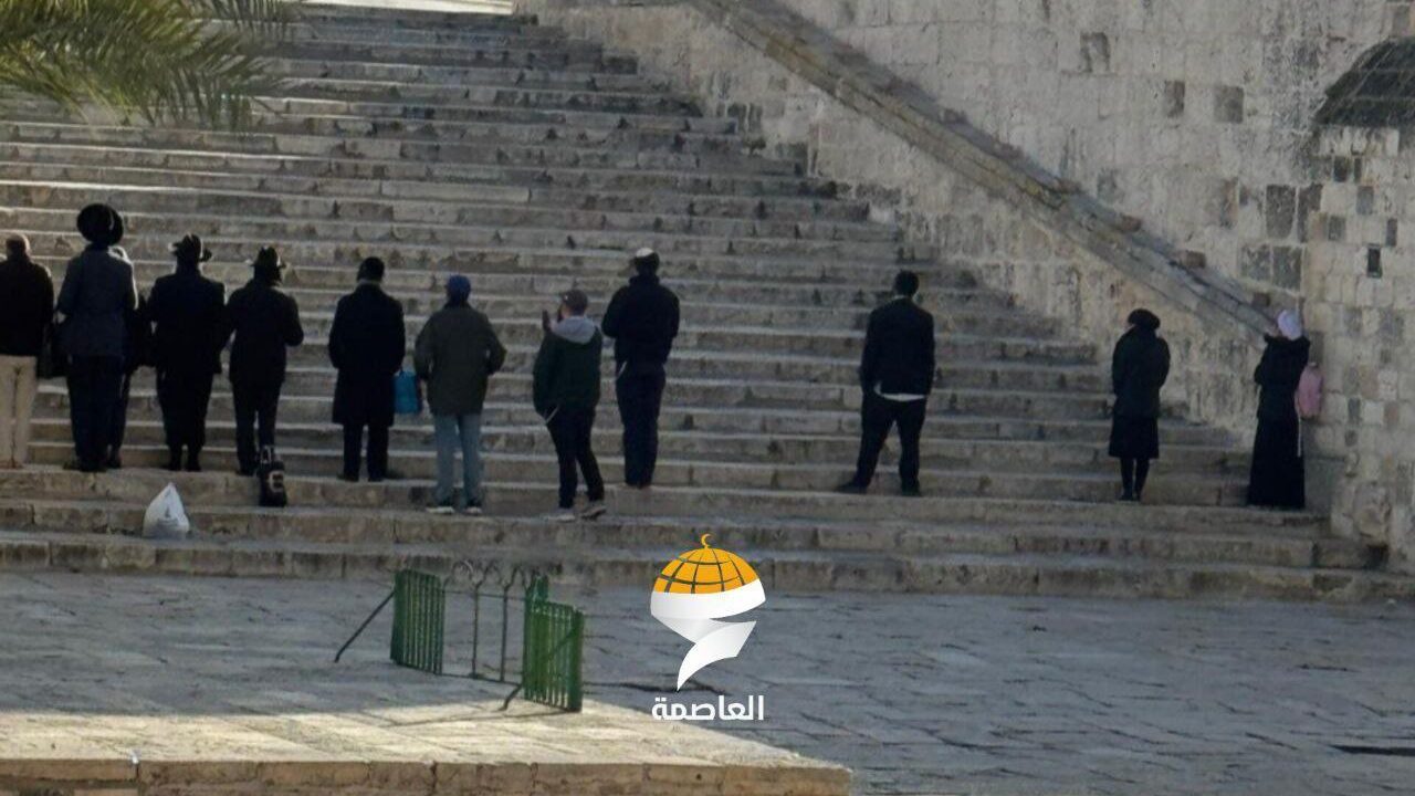 476 مستوطناً يقتحمون الأقصى المبارك بحماية شرطة الاحتلال الإسرائيلي