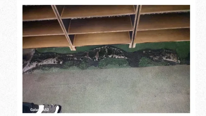 الضفة: مستوطنون يحاولون إحراق مسجد في تل وتصاعد حملة الاعتقالات