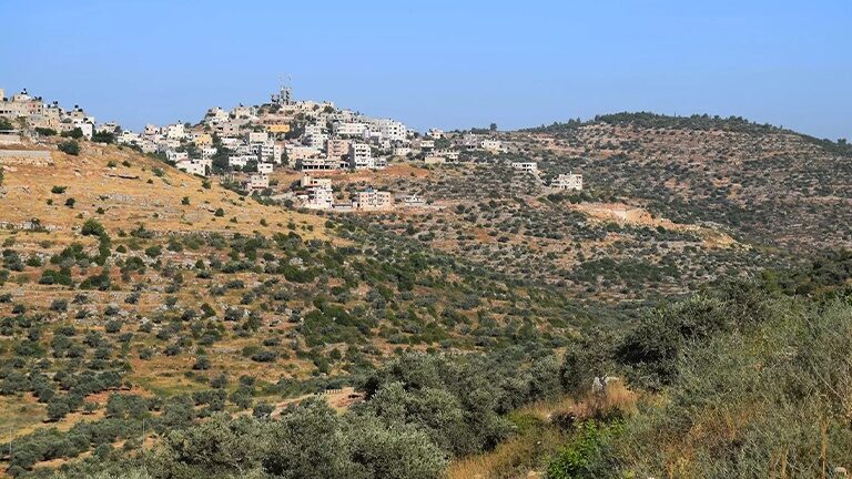 سلطة الأراضي تعلن تعليق 9 أحواض تسوية للاعتراض في 5 محافظات