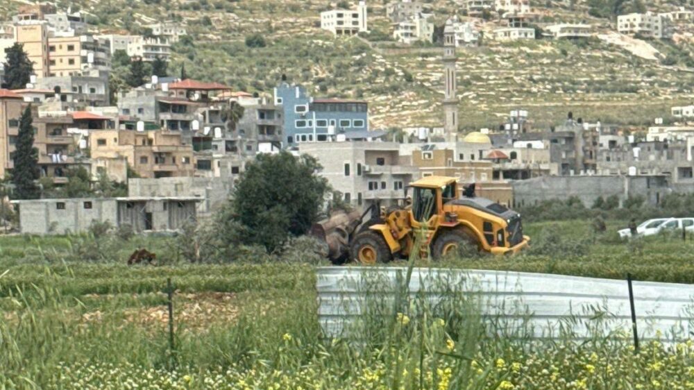 الاحتلال يقتلع عشرات الأشجار المثمرة في اللبن الشرقية جنوب نابلس