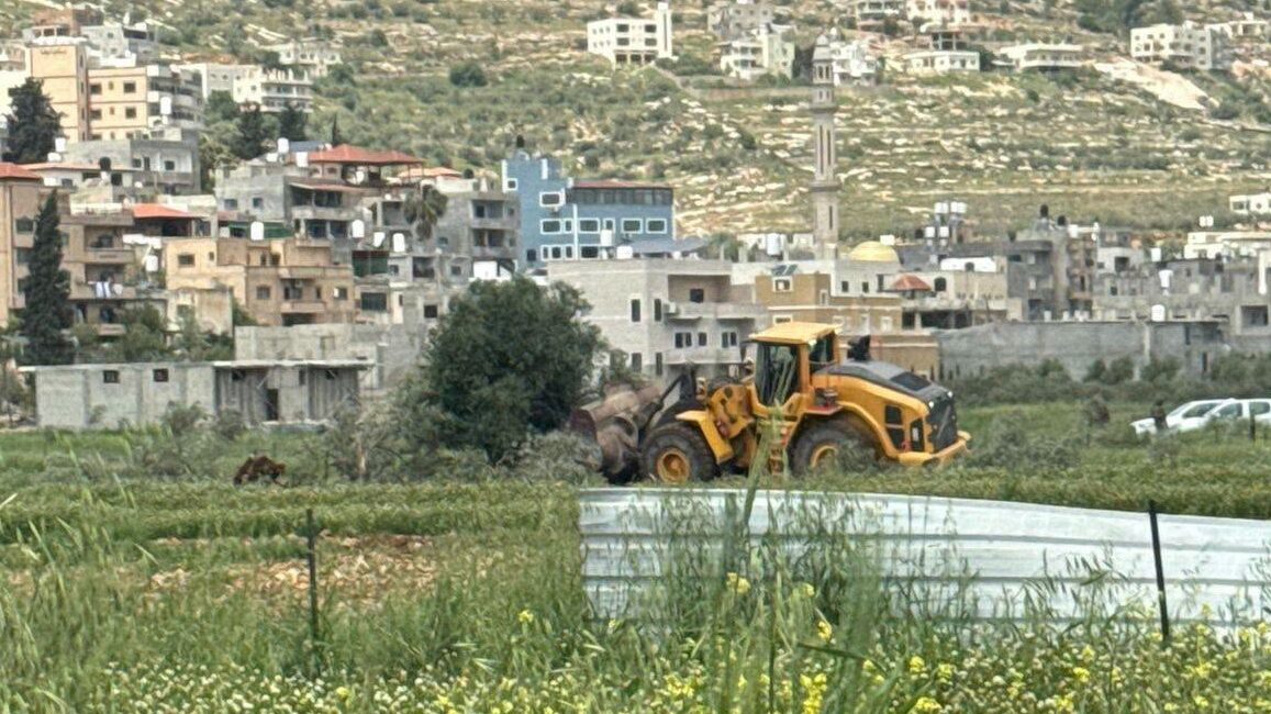 الاحتلال يقتلع عشرات الأشجار المثمرة في اللبن الشرقية جنوب نابلس