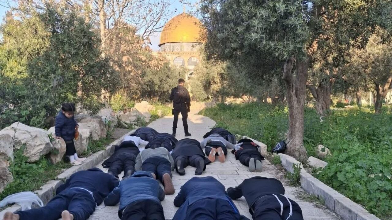 مستوطنون يقتحمون الأقصى ويؤدون السجود الملحمي