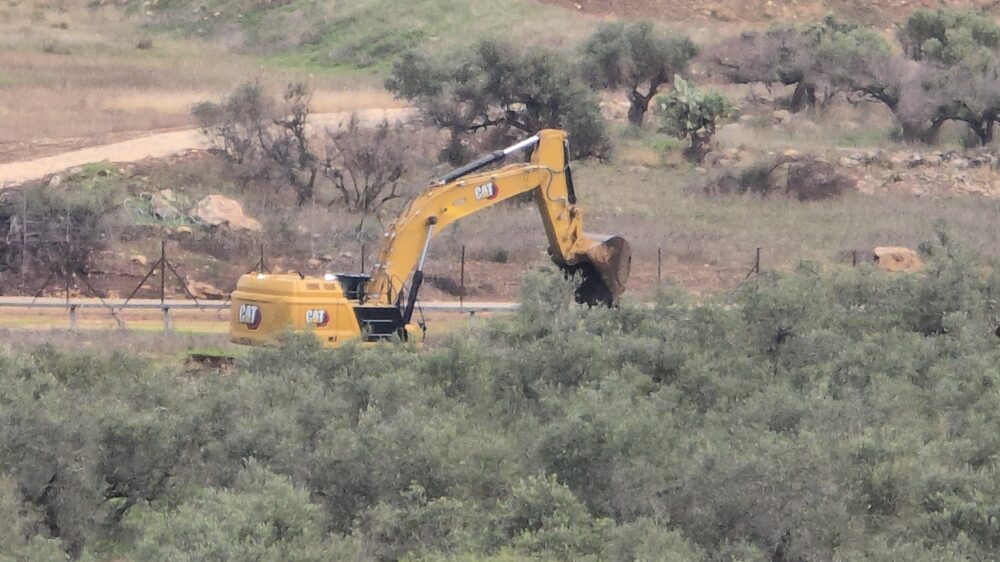 الاحتلال يقتلع عشرات أشجار الزيتون في تقوع جنوب شرق بيت لحم