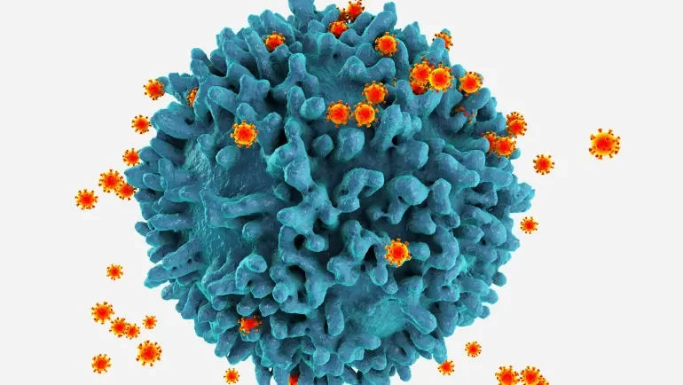 إعادة ضبط المناعة.. تقنية طبية تنقذ امرأة من 3 أمراض خطيرة