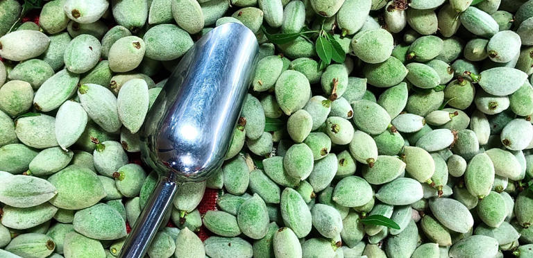 ليس مجرد وجبة خفيفة: كيف يساعد اللوز الأخضر مرضى السكري؟