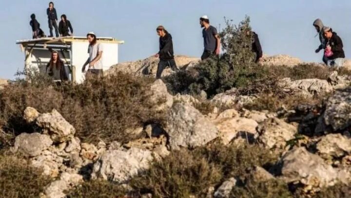 مستوطنون يعتدون على سيدتين في بيرزيت شمال رام الله