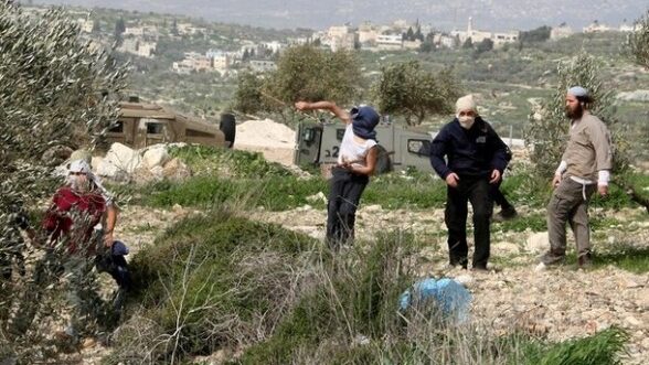 مستوطنون يهاجمون منازل المواطنين في خلايل اللوز جنوب شرق بيت لحم