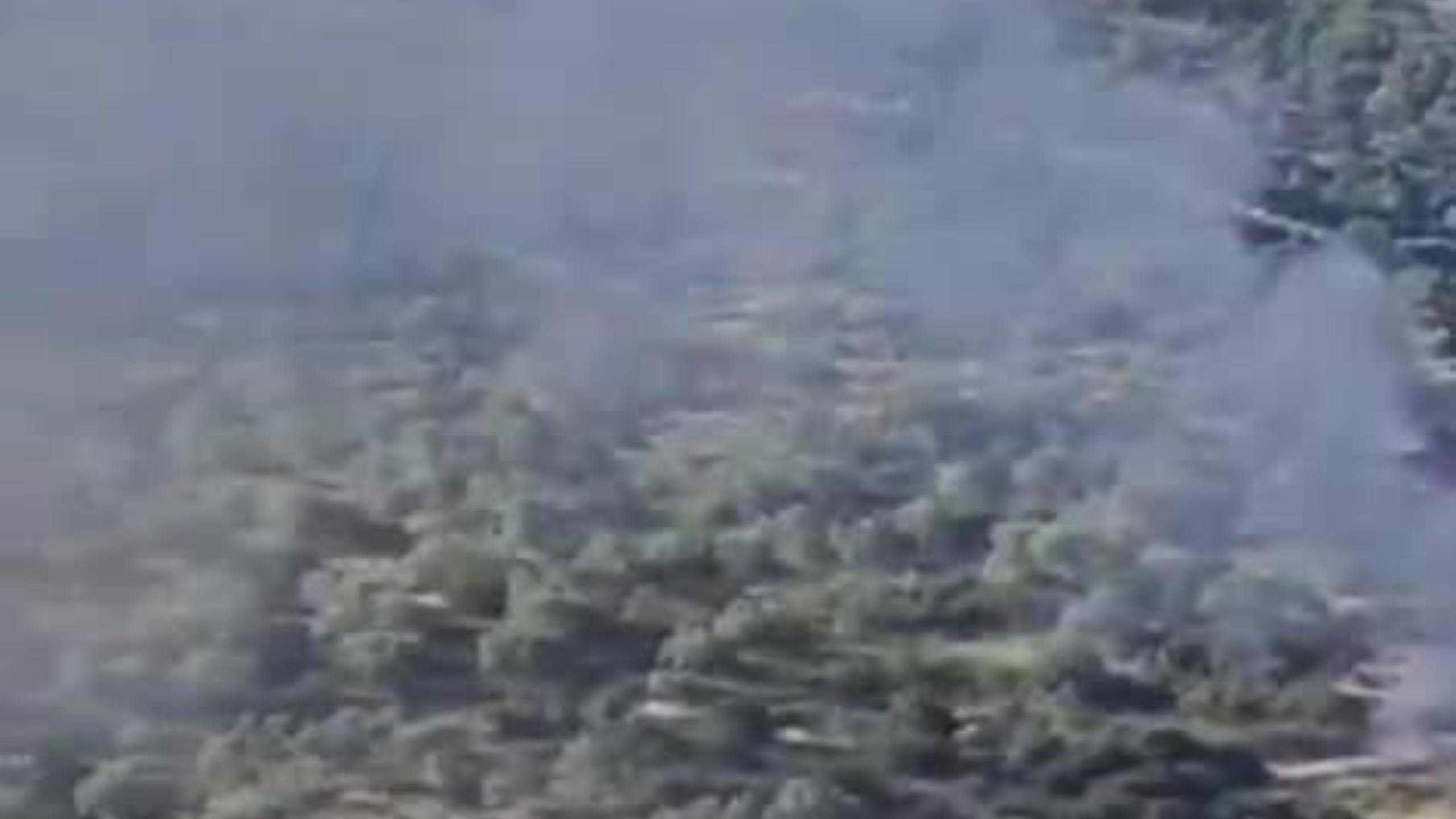 مستوطنون يحرقون غرفتين زراعيتين في كفر الديك غرب سلفيت