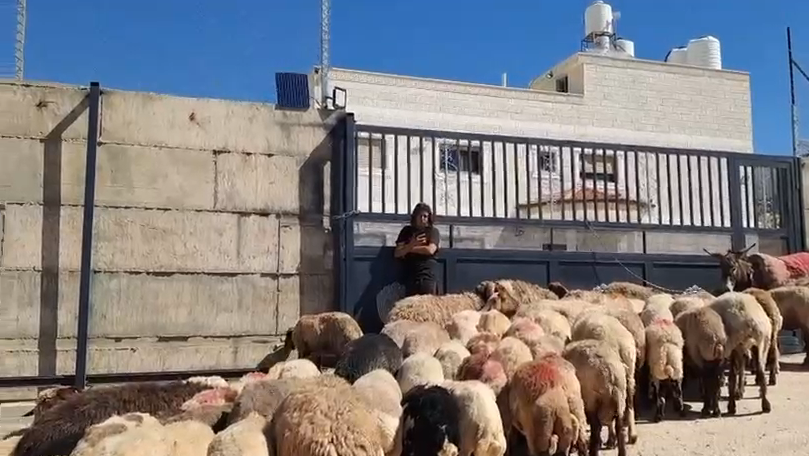 مستوطنون يضيّقون على سكان عرب مليحات شرق رام الله