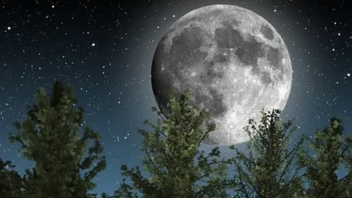بعض الضوء رغم السواد