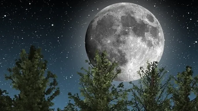 بعض الضوء رغم السواد